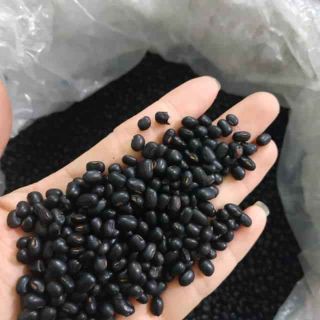 đậu đen xanh lòng[ loại hạt nhỏ nhà trồng]1 bịt 1kg