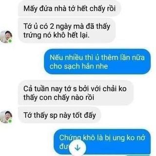 Thuốc Chấy Gia Truyền