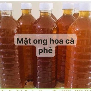 Mật ong rừng hoa cà phê Daklak 1lít hàng chuẩn 100% có giấy cam kết