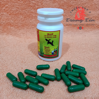thuốc gà đá , thuốc bổ cao cấp thái lan (1 lọ / 50 viên)