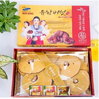 [QUÀ TẶNG CAO CẤP] Nấm Linh Chi Vàng Cô Gái Loại 1 Hàn Quốc hộp 1kg
