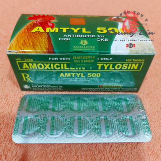 amtyl 500 - thuốc gà đá đặc trị bệnh tổng hợp - Philippines (1 hộp / 10 vĩ)