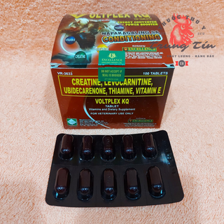 VOltplex KQ - thuốc nuôi gà cao cấp PHILIPPINES (1 hộp / 100 viên)