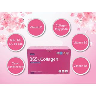 [MIỄN PHÍ SHIP] Nước Uống Collagen 365 X Dành Cho Phái Đẹp Hộp 10 chai x 50ml