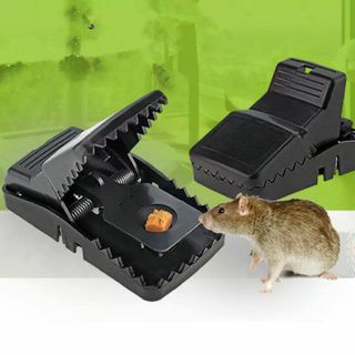 Bẫy chuột thông minh giá sỉ
