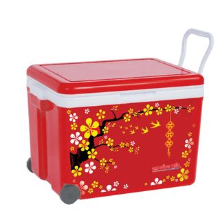 Thùng Đá Vuông Du Lịch 35L L1030 - Đại Đồng Tiến
