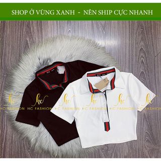 Áo nữ 2022, áo thun nữ cổ bẻ phối cúc, áo croptop kiểu ôm body có cổ đẹp hot hiện nay freesize 40-55kg HC FASHION