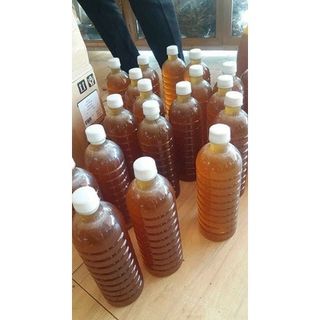 Mât Ong Hoa Cà Phê Lâm Đồng