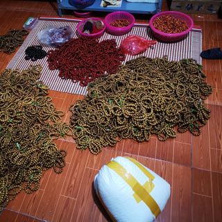 Vòng tay gỗ bách xanh giá rẻ