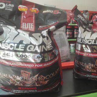 Whey Protein và Mass Muscle Gainer