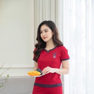 ĐỒ BỘ THUN MẶC NHÀ THỜI TRANG THÊU CHỮ T