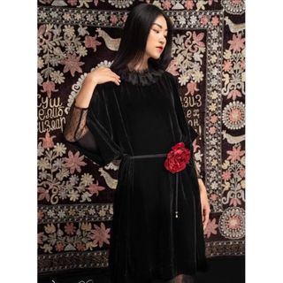 Hoa hồng Pháp cài áo (nhiều màu)