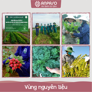 Mì hữu cơ - Rau Củ Sâm Cát Organic Anpaso - Gói 120g