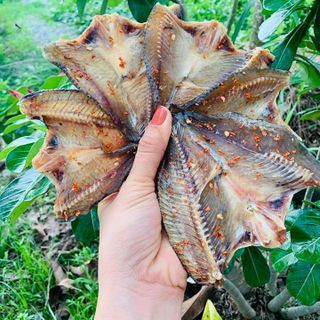 Khô Cá phi - Đặc sản Cà Mau – Hộp 1kg