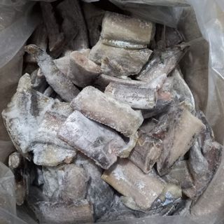 Cá Hố