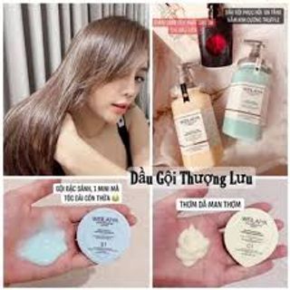 Bộ dầu gội phục hồi đa tầng Nấm Truffle Weilaiya 450ml