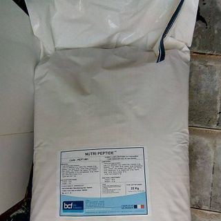 SIÊU TĂNG TRỌNG NUTRI PEPTIDE