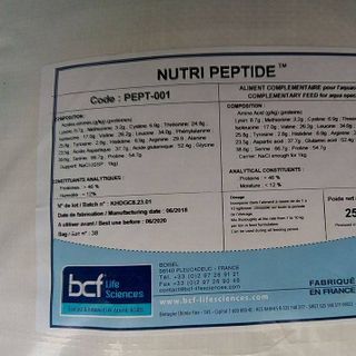 SIÊU TĂNG TRỌNG NUTRI PEPTIDE