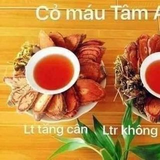 Cỏ Máu Tâm An , Tăng Cân Từ Thiên Nhiên An Toàn Và Hiệu Quả giá sỉ