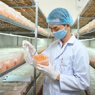 Đông Trùng Hạ Thảo Khô KCV (10g/Hộp)