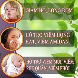 Cao ho cao kha tử - Bổ phế phổi,long đờm,giảm ho,viêm họng