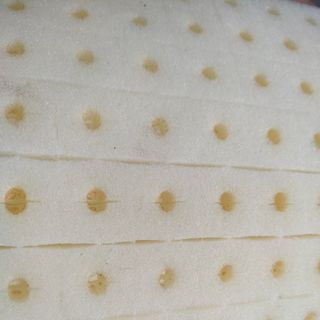 Mút xốp ươm hạt trồng rau Thủy canh