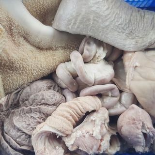 Lòng bò tươi Thanh Bình