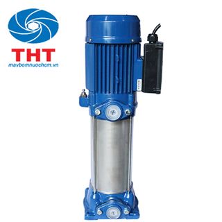 Máy bơm nước đầu Inox Maro