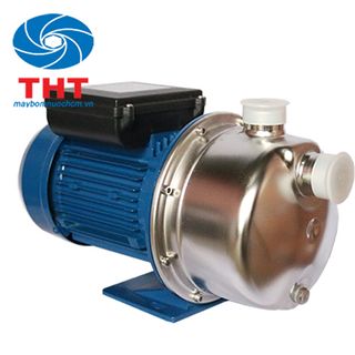 Máy bơm nước đầu Inox Maro