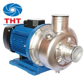 Máy bơm nước đầu Inox Maro