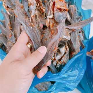 Khô cá thòi lòi - Khô Cà Mau - Hộp 1kg