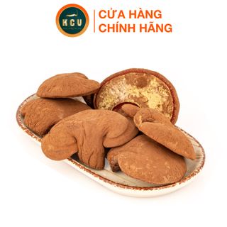 Nấm Linh Chi Non Đà Lạt (Loại Nguyên Tai)