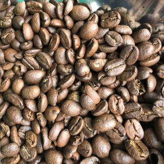 Arabica