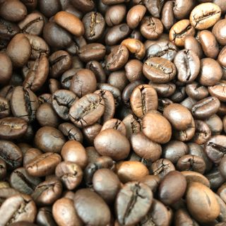 Robusta