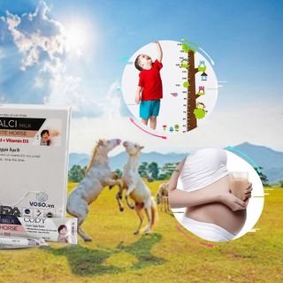 Canxi cho Mẹ bầu, trẻ nhỏ (Calci Milk white horse)