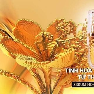 SERUM VÀNG 24K