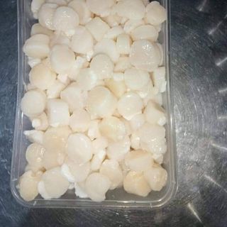 Còi sò điệp