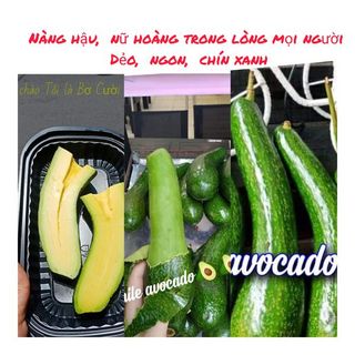 Bơ Nữ Hoàng 034(2,3 trái)