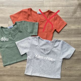Áo Croptop Tay Ngắn Cổ V