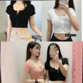 ÁO CRTOP NÚT ( chất bozip + thun gân chất đẹp )
