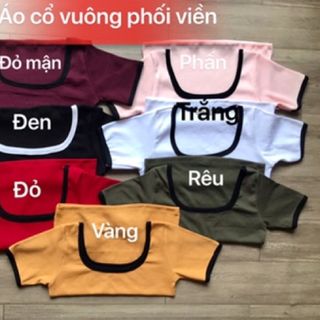 Áo phông croptop cổ U phối viền