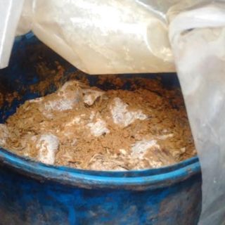 Đạm cá dung dịch