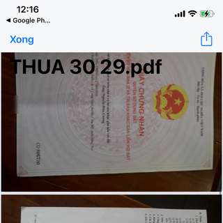 Cà phê hạt nguyên chất