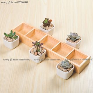 Khay Gỗ Đựng Đồ Đa Năng Trồng Cây, Đựng Trang Sức...vv Chia Nhiều Ngăn Tiện Dụng-Wooden Tray giá sỉ