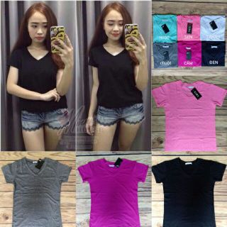 COMBO : 6 ÁO THUN CỔ TIM NHƯ HÌNH