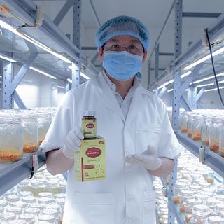 Viên Uống Bổ Phổi Đông Trùng Hạ Thảo Bofomax TraphacoSapa