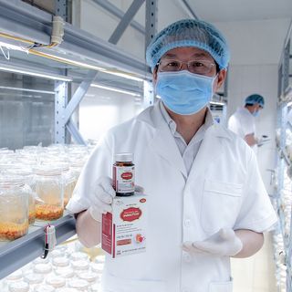 Viên Uống Tăng Đề Kháng Chống Virus Đông Trùng Hạ Thảo Immuton TraphacoSapa