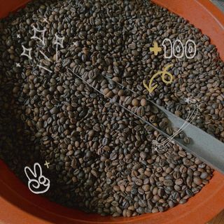 Cà phê rang xay Robustar 100% nguyên chất, hàng đảm bảo chuẩn pha máy , pha phin cho Quán Cafe, Phan Coffee Tây Nguyên , cafe