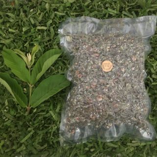 Trà lá ổi (3 cặp lá đọt) xắt nhuyễn hút chân không