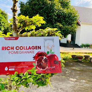 CÓ COLLAGEN LỰU DR.HALEE - VÔ TƯ TUỔI XUÂN, DA DẺ CĂNG MỊN